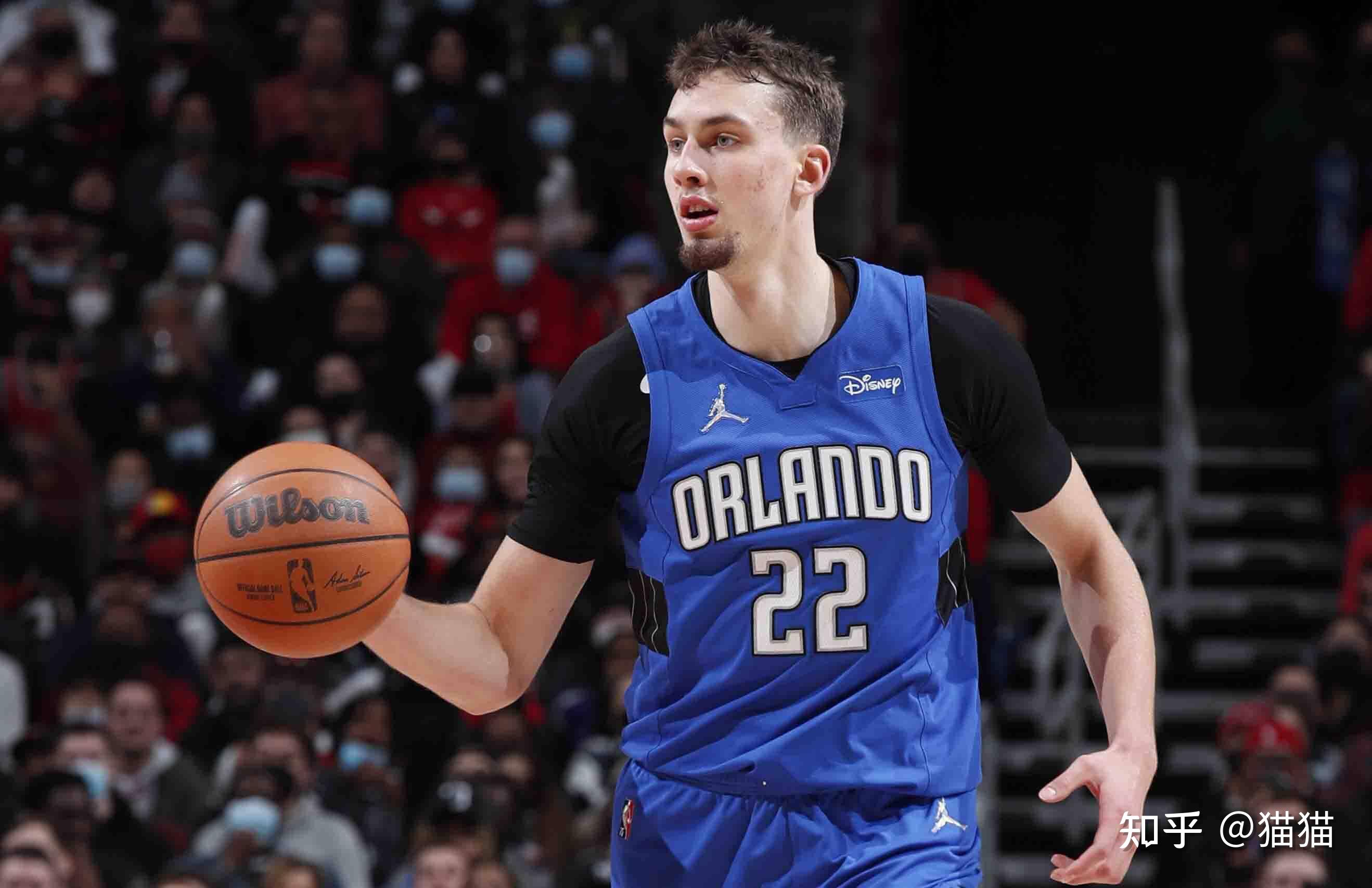 能是半职业 能是半职业