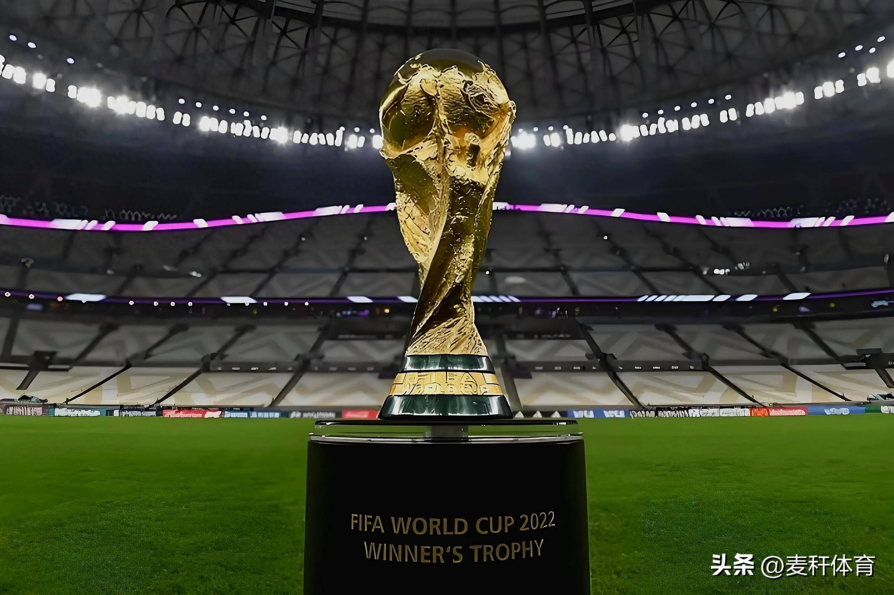 趣的体验 趣的体验